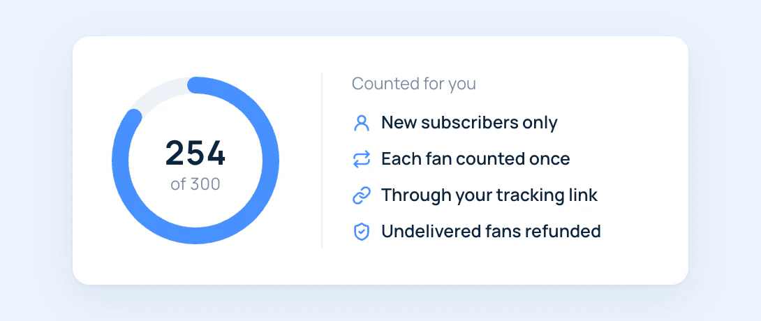 Delivery of a CPL order: 254 of 300 new subscribers counted through the tracking link